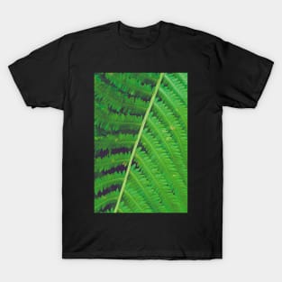 Summer Fern T-Shirt